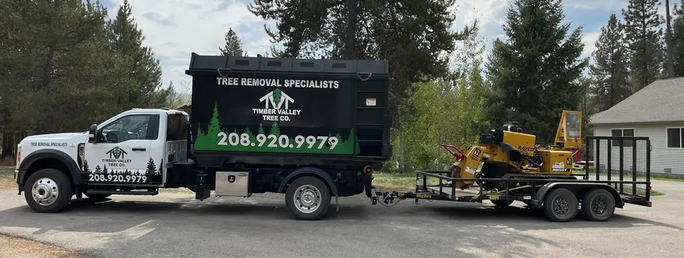 Timber Valley Tree Co bucket truck and chip truck on a job site