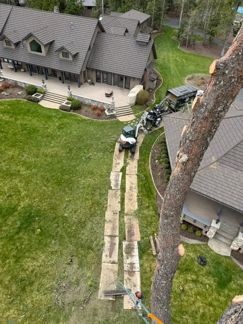 View down the trunk from the canopy on a lakeside removal, mats protecting the lawn