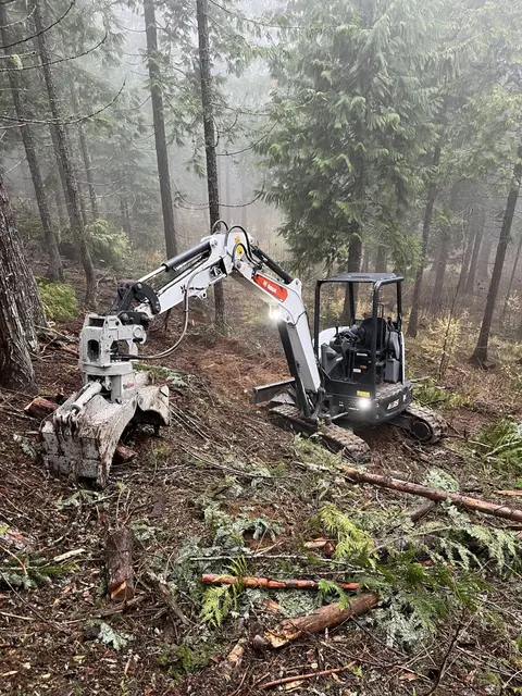 Grapple excavator thinning a foggy North Idaho hillside stand